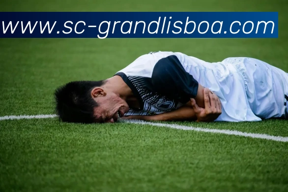 新葡京娱乐发展历程